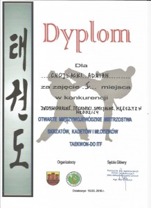Międzywojewódzkie Mistrzostwa w Taekwondo