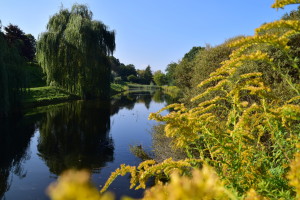 Fotospacer w Parku Helenów