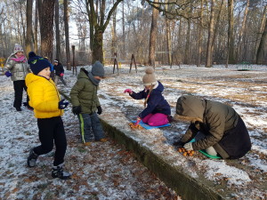 Projekt „EkoRok ze Źródłami w Naturze”