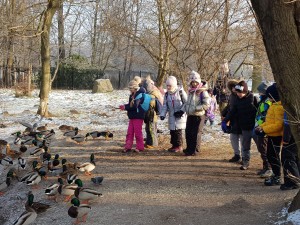 Projekt „EkoRok ze Źródłami w Naturze”