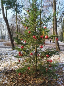 Projekt „EkoRok ze Źródłami w Naturze”