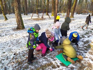 Projekt „EkoRok ze Źródłami w Naturze”