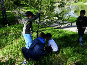 Projekt „EkoRok ze Źródłami w Naturze”