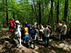 Projekt „EkoRok ze Źródłami w Naturze”