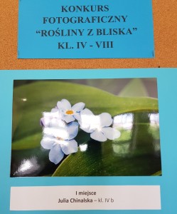 Szkolny Konkurs Fotograficzny „Rośliny z bliska”