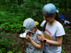 Projekt „EkoRok ze Źródłami w Naturze”